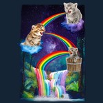 Kitten Colorfalls