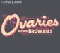 Ovaries Before Brovaries