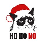 Grumpy Christmas Cat