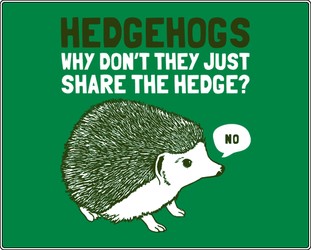 Hedgehogs - Why Don't They Just Share the Hedge?