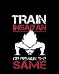 Train Insaiyan Or Remain The Same