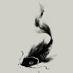 Koi Wash