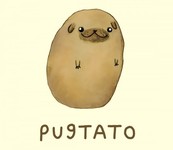 Pugtato