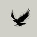 The Raven