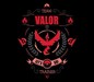 Go Team Valor!