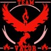 Go Team Valor!