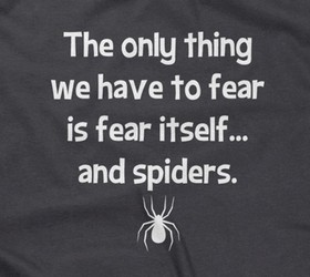 The Only Thing We Have To Fear Itself... And Spiders