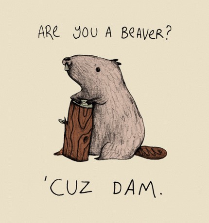 Are You A Beaver? Cuz Dam