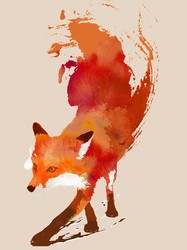 Vulpes Vulpes