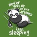Never Give Up On Your Dreams - Keep Sleeping
