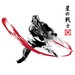 Star Warrior sumi-e