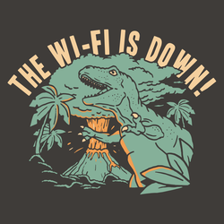 The WiFi Is Down!