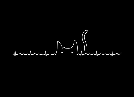 Cat Lover - Purrfect Beat