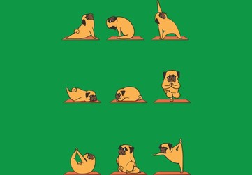 Pug Yoga