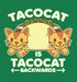 Tacocat is Tacocat backwards