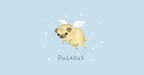 Pugasus