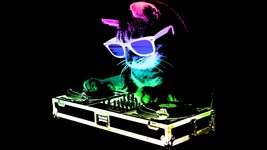 HOUSE CAT (Rainbow DJ Kitty)