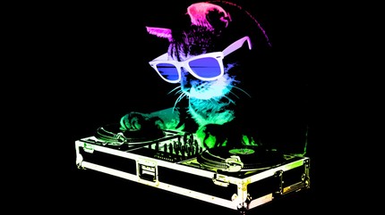 HOUSE CAT (Rainbow DJ Kitty)