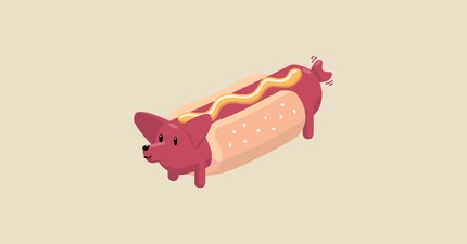 Corgi Fun In A Bun
