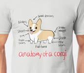 Anatomy of a Corgi