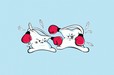 Pillow Fight
