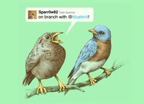 Tweet