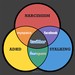 Social Media Venn Diagram