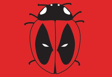 Dead Bug