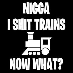 NIGGA, I SHIT TRAINS - NOW WHAT?