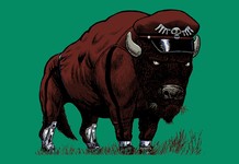 Destructoid: M-Bison