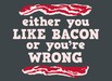 Either You Like Bacon Or You're Wrong