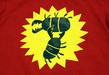 Bug Fight
