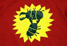 Bug Fight