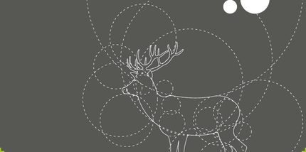 Raindeer