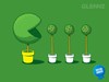 Cherry Topiary