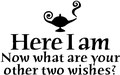 Here I Am, Now What Are Your Other Two Wishes