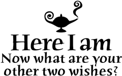 Here I Am, Now What Are Your Other Two Wishes