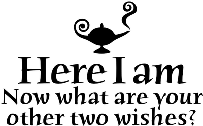 Here I Am, Now What Are Your Other Two Wishes