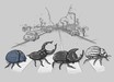 The Beetles