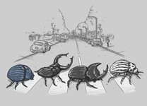 The Beetles