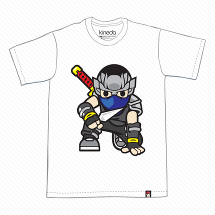 Hayabusa Shadow Warrior