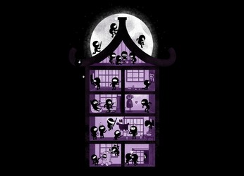 A House Full of Ninjas