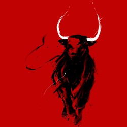 Toro