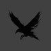 The Raven