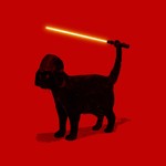 Cat Vader