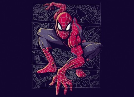 Spider Web