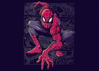 Spider Web