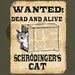 Schrödinger's Cat - Wanted Dead And Alive