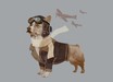 Defenders of the Sky