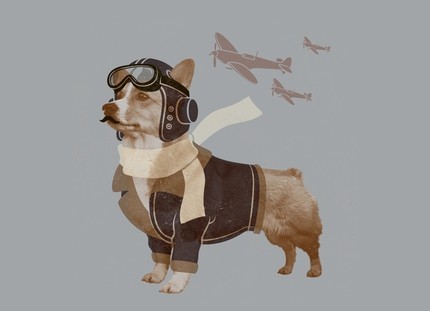 Defenders of the Sky